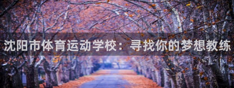 米兰体育官网下载平台注册：沈阳市体育运动学校：寻找你