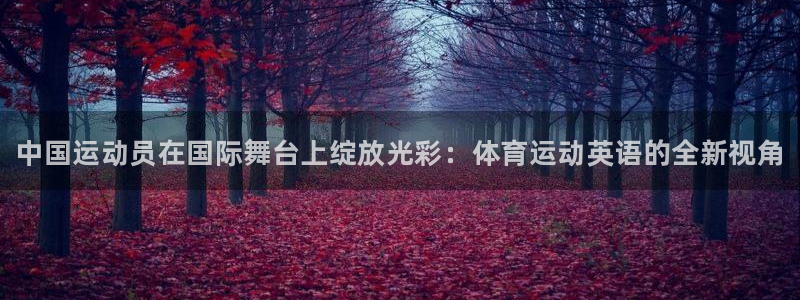 米兰体育官网下载：中国运动员在国际舞台上绽放光彩：体