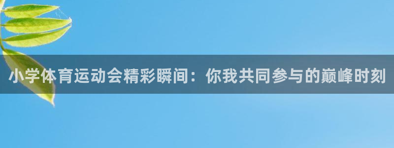 德国米兰体育官方正版app集团：小学体育运动会精彩瞬