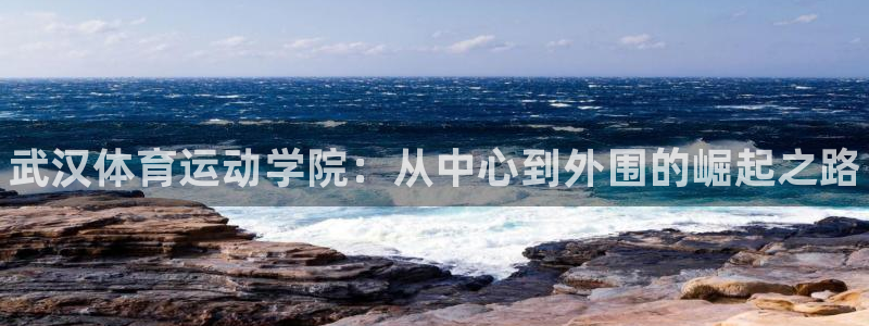 米兰体育官方正版app集团E.ON：武汉体育运动学院