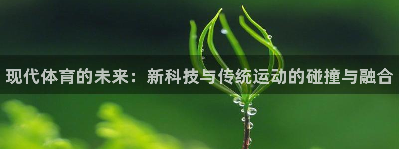 米兰体育官方正版app娱乐首页网站大全：现代体育的未