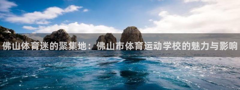 米兰体育官方正版app集团官网网址：佛山体育迷的聚集