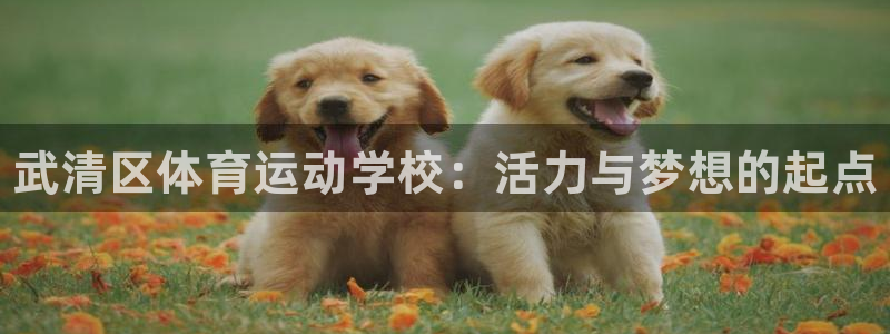 米兰体育官方正版app神州：武清区体育运动学校：活力与梦想的
