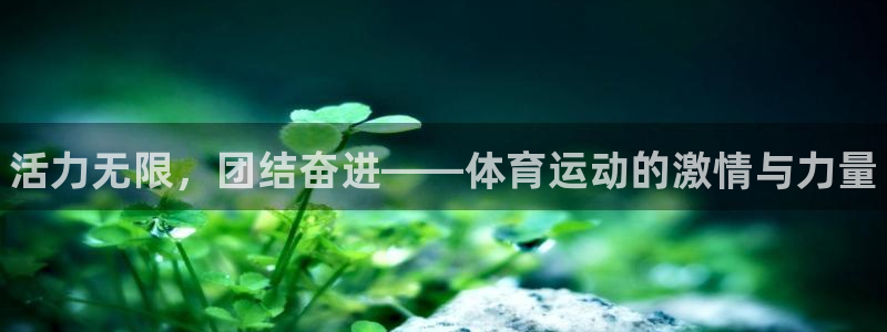 米兰体育官网下载招商电话：活力无限，团结奋进——体育运动的激