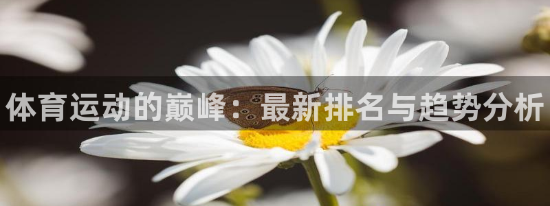 米兰体育官网下载是干嘛的公司：体育运动的巅峰：最新排名与趋势