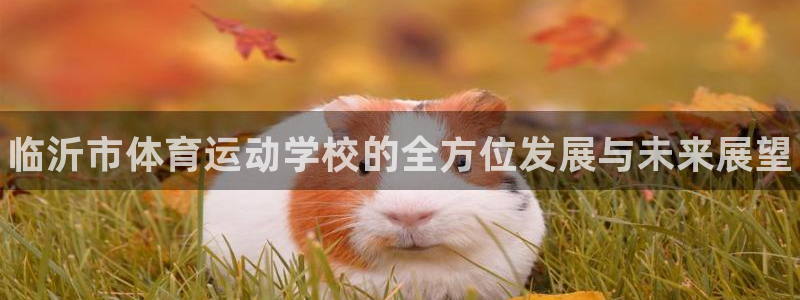 米兰体育官方平台体育