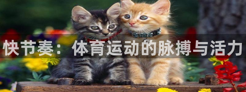 米兰体育官网下载联系电话：快节奏：体育运动的脉搏与活力