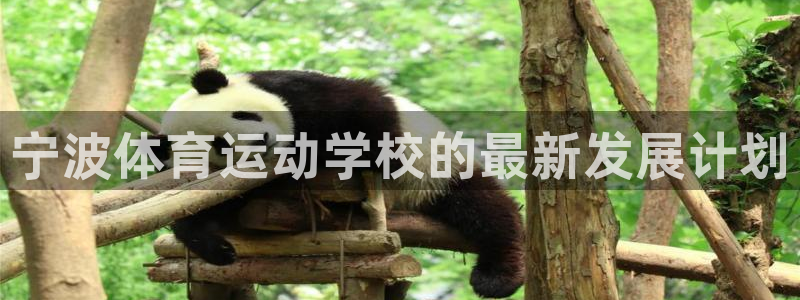 米兰体育官网下载娱乐：宁波体育运动学校的最新发展计划