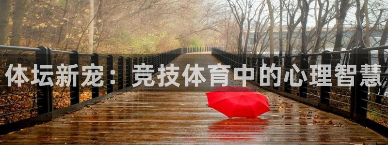 米兰体育官方正版app集团E.ON：体坛新宠：竞技体