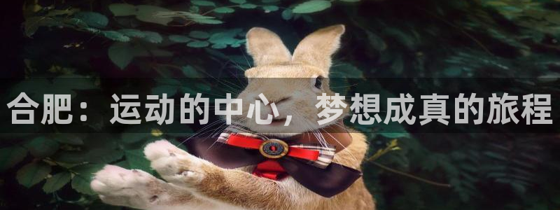 米兰体育官方正版app娱乐代理怎么样