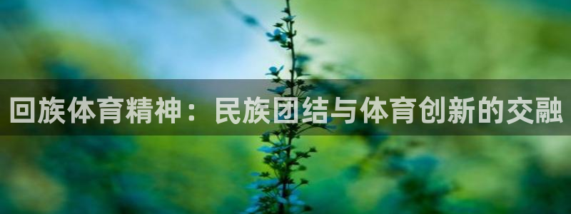 米兰体育官方正版app新能源：回族体育精神：民族团结