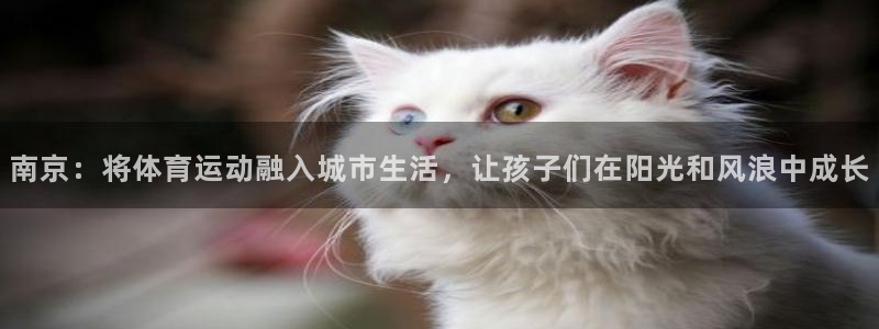 米兰体育官方正版app新能源：南京：将体育运动融入城