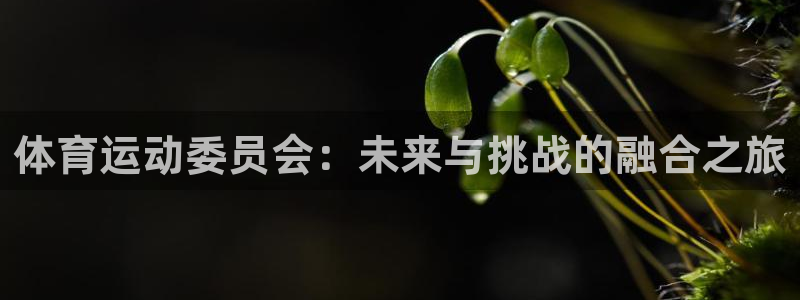 注册米兰体育官方正版app：体育运动委员会：未来与挑