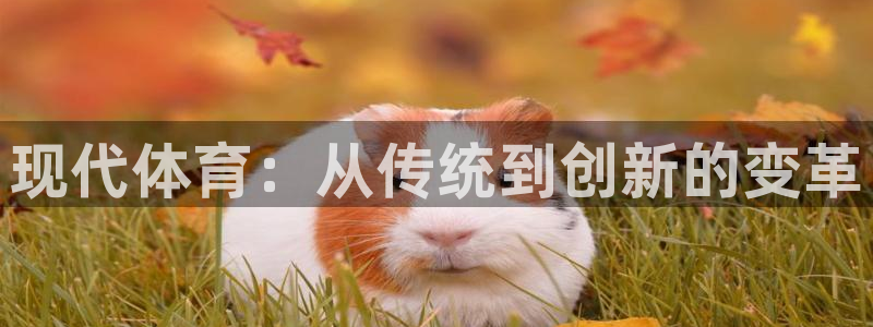 米兰体育官方正版app新能源：现代体育：从传统到创新