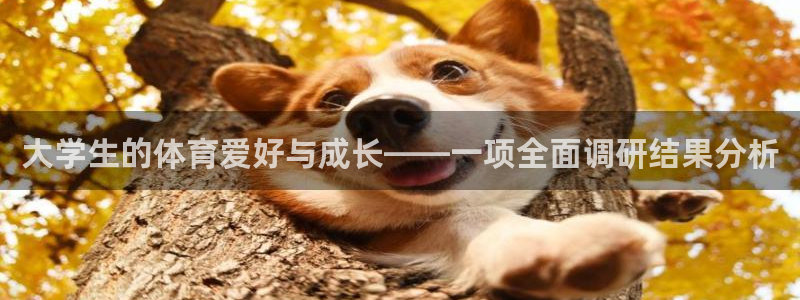 米兰体育官方正版app集团官网首页网址：大学生的体育爱好与成