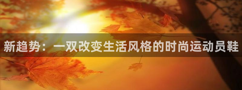 米兰体育官方正版app娱乐首页网站大全：新趋势：一双改变生活