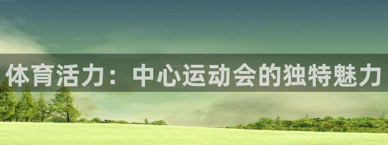 海南米兰体育官网下载：体育活力：中心运动会的独特魅力