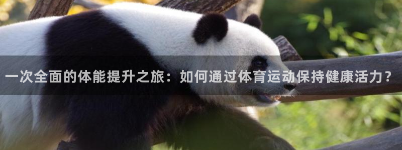 米兰体育官网下载开户：一次全面的体能提升之旅：如何通过体育运