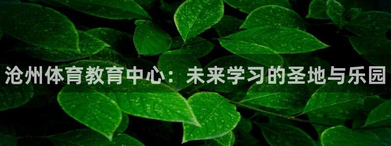 米兰体育官方正版app集团：沧州体育教育中心：未来学习的圣地