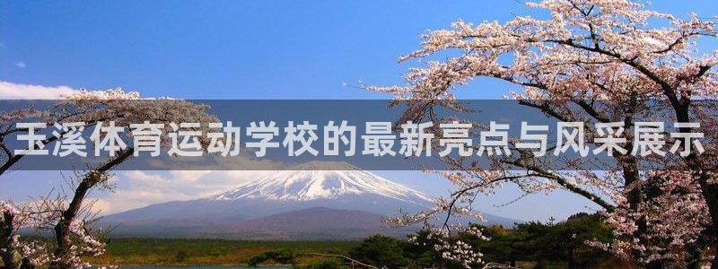 米兰体育官方正版app代理