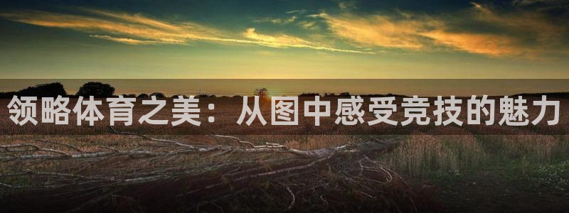 米兰体育官网下载招商电话是多少啊：领略体育之美：从图中感受竞