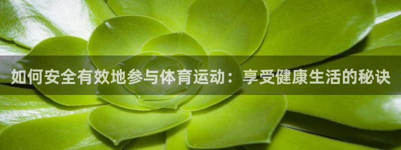 米兰体育报亲AC米兰：如何安全有效地