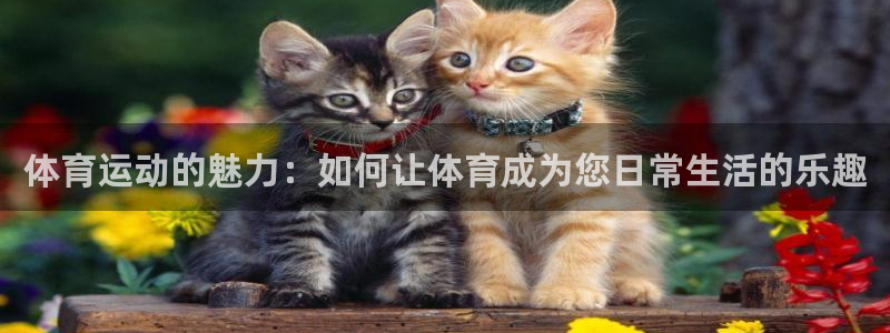 米兰体育场：体育运动的魅力：如何让体