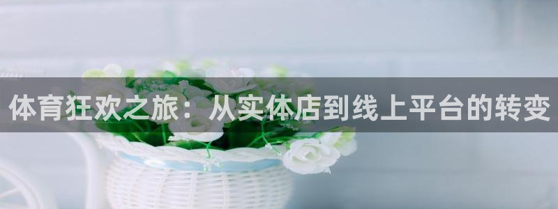 米兰体育全站登录入口官网：体育狂欢之