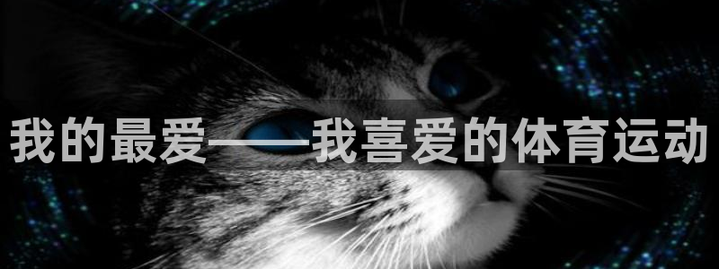 米兰体育下载：我的最爱——我喜爱的体