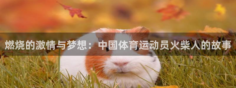 米兰体育平台是否可靠：燃烧的激情与梦