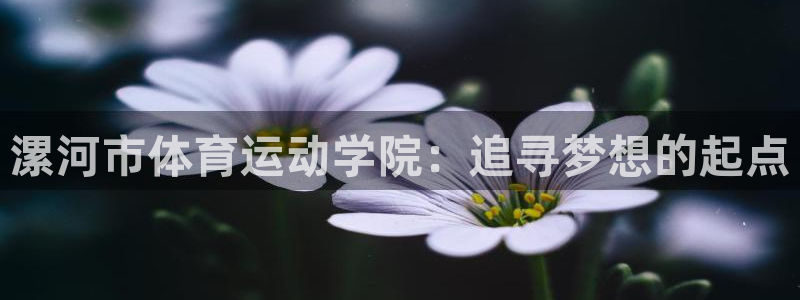 米兰体育能赚钱吗现在：漯河市体育运动
