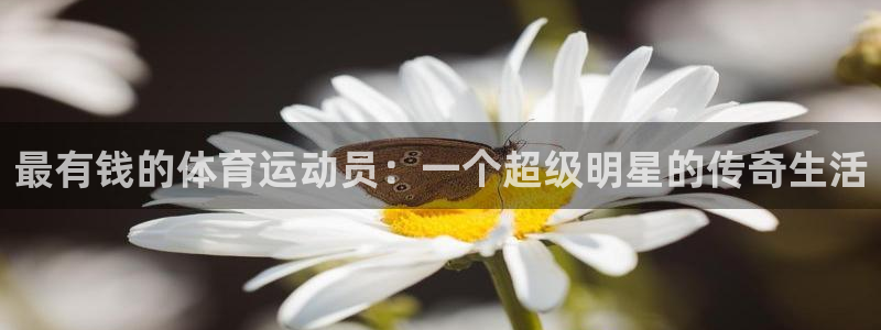 米兰体育最新官网：最有钱的体育运动员