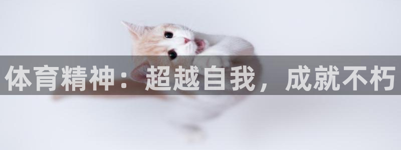 米兰体育锁定钱包解除方法：体育精神：
