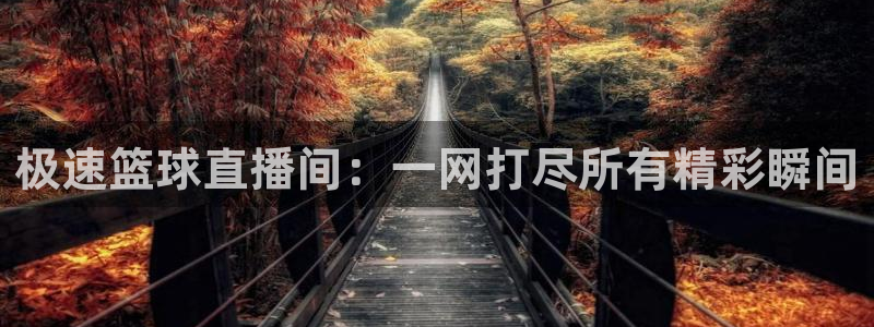 搜球吧在线直播nba