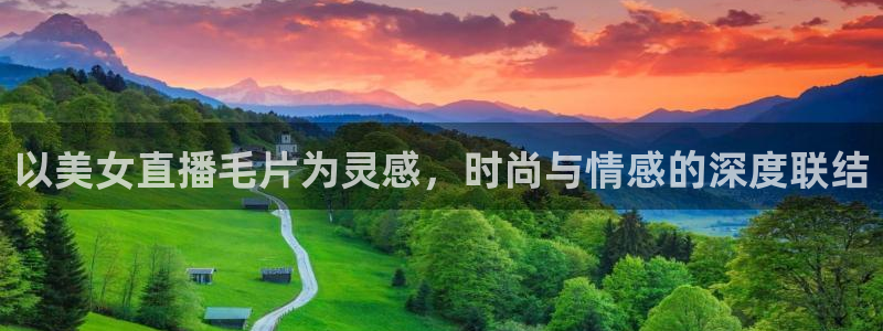 搜球吧直播