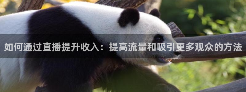 搜球体育下载：如何通过直播提升收入：提高流量和吸引更多观众的方法
