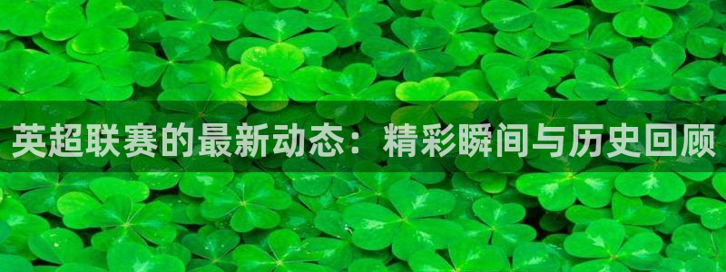 搜球8直播nba直播：英超联赛的最新动态：精彩瞬间与历史回顾