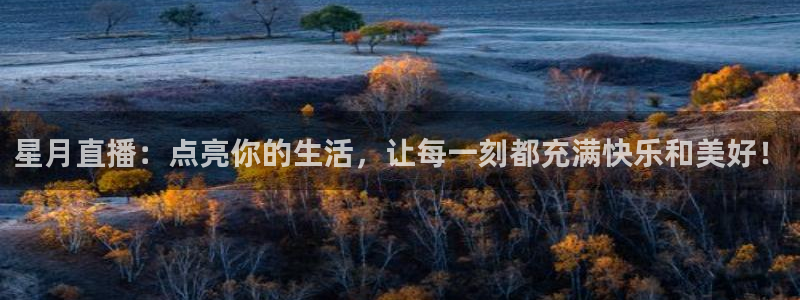 搜球吧零点吧nba直播：星月直播：点亮你的生活，让每一刻都充满快乐和美好！