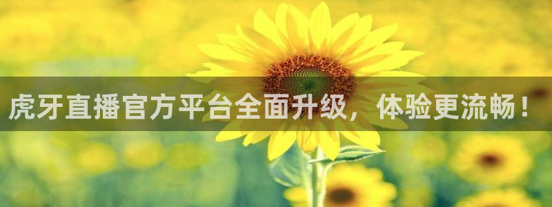 搜球吧在线直播免费观看