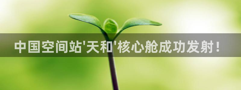 搜球体育直播