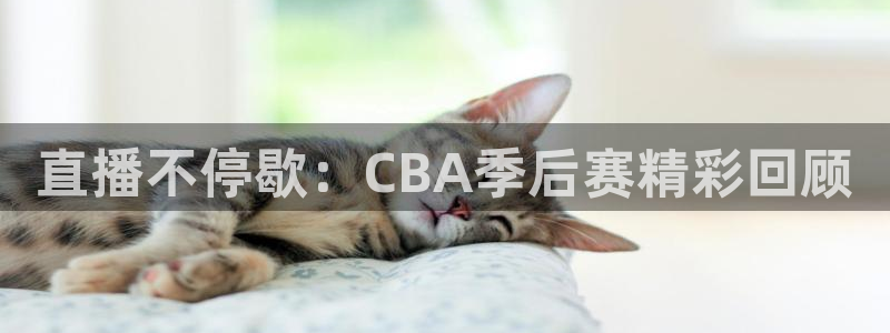 搜球吧体育直播：直播不停歇：CBA季后赛精彩回顾