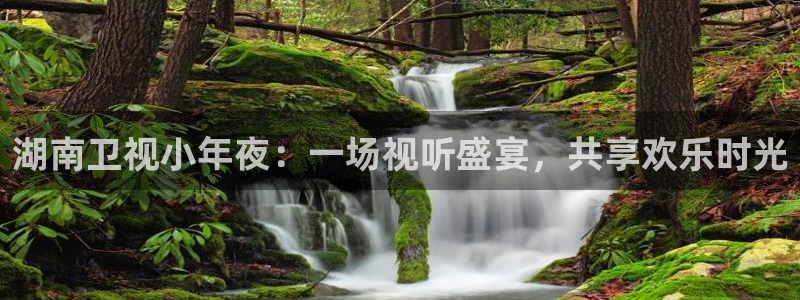 搜球吧直播 在线观看：湖南卫视小年夜：一场视听盛宴，共享欢乐时光